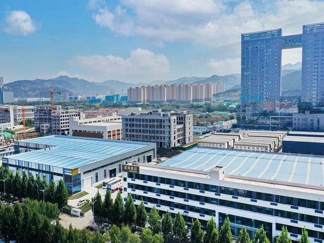 湖北盆栽植物出租哪家好